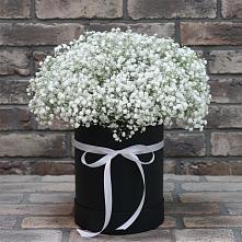 Цветочная композиция из Гипсофила в шляпной коробке #REPLACE_PRED# Верхних Ачалуках