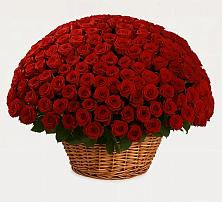 Премиум букет из: Розы в Верхних Ачалуках